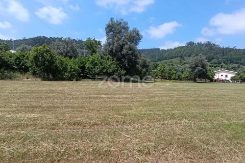 Terra a Dornelas, Braga, Dornelas - € 320.000 | Ref: ZMPT589655 - foto 11