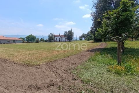Terra a Dornelas, Braga, Dornelas - € 320.000 | Ref: ZMPT589655 - foto 3