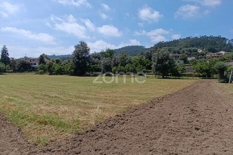 Terra a Dornelas, Braga, Dornelas - € 320.000 | Ref: ZMPT589655 - foto 4