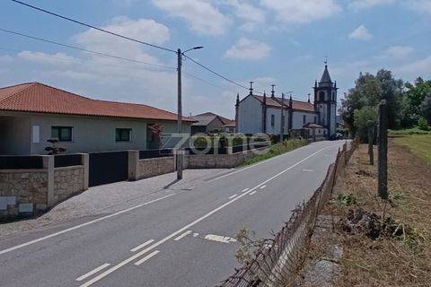 Terra a Dornelas, Braga, Dornelas - € 320.000 | Ref: ZMPT589655 - foto 5