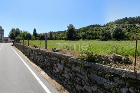 Terra a Dornelas, Braga, Dornelas - € 320.000 | Ref: ZMPT589655 - foto 6