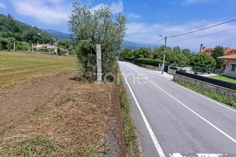 Terra a Dornelas, Braga, Dornelas - € 320.000 | Ref: ZMPT589655 - foto 7
