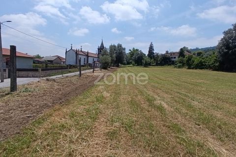 Terra a Dornelas, Braga, Dornelas - € 320.000 | Ref: ZMPT589655 - foto 8