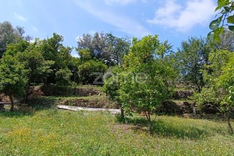 Terra a Dornelas, Braga, Dornelas - € 320.000 | Ref: ZMPT589655 - foto 9