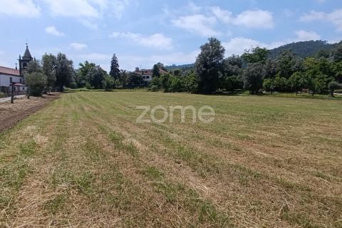 Terra a Dornelas, Braga, Dornelas - € 320.000 | Ref: ZMPT589655 - foto 10