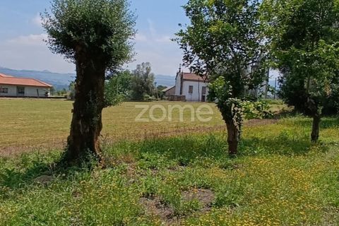 Terra a Dornelas, Braga, Dornelas - € 320.000 | Ref: ZMPT589655 - foto 12