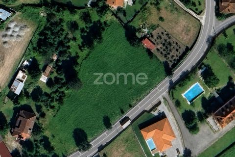 Terra a Dornelas, Braga, Dornelas - € 320.000 | Ref: ZMPT589655 - foto 13