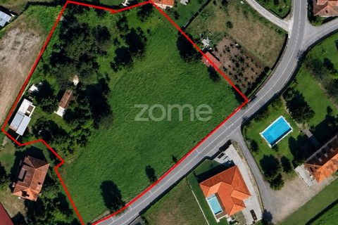 Terra a Dornelas, Braga, Dornelas - € 320.000 | Ref: ZMPT589655 - foto 14