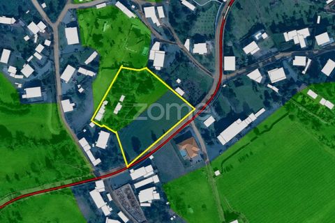 Terra a Dornelas, Braga, Dornelas - € 320.000 | Ref: ZMPT589655 - foto 15