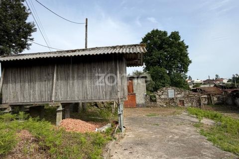 Villa em Paredes, Porto, Paredes - € 159.000 | Ref: ZMPT588175 - foto 6