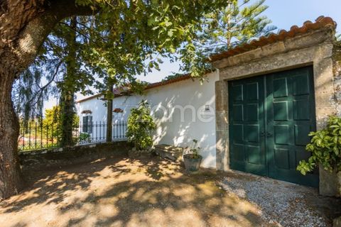 Farm i Barcelos, Braga, Barcelos - € 900.000 | Ref: ZMPT542540 - foto 3