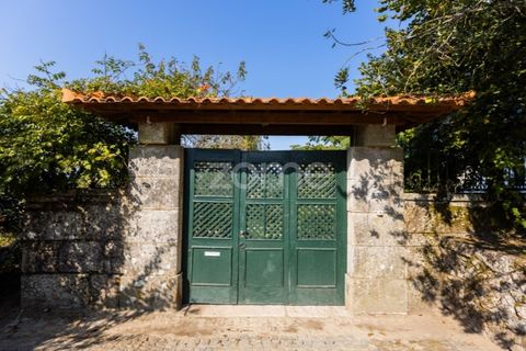 Farm i Barcelos, Braga, Barcelos - € 900.000 | Ref: ZMPT542540 - foto 4