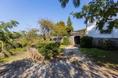 Farm i Barcelos, Braga, Barcelos - € 900.000 | Ref: ZMPT542540 - foto 5