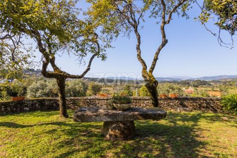 Farm i Barcelos, Braga, Barcelos - € 900.000 | Ref: ZMPT542540 - foto 6