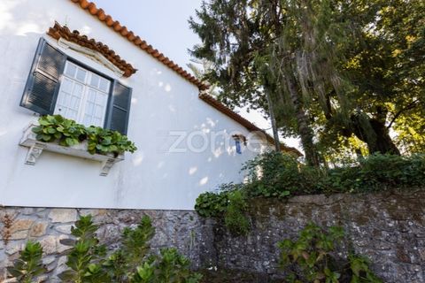 Farm i Barcelos, Braga, Barcelos - € 900.000 | Ref: ZMPT542540 - foto 7