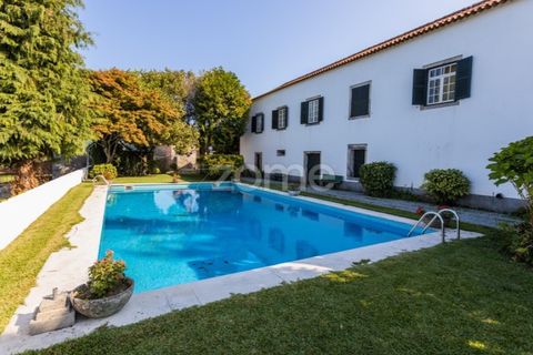 Farm i Barcelos, Braga, Barcelos - € 900.000 | Ref: ZMPT542540 - foto 8