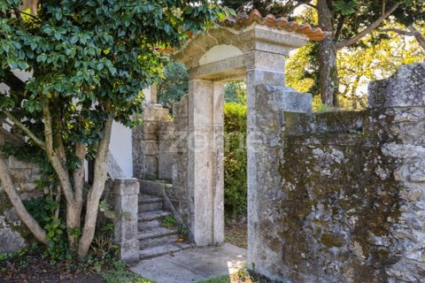 Farm i Barcelos, Braga, Barcelos - € 900.000 | Ref: ZMPT542540 - foto 9