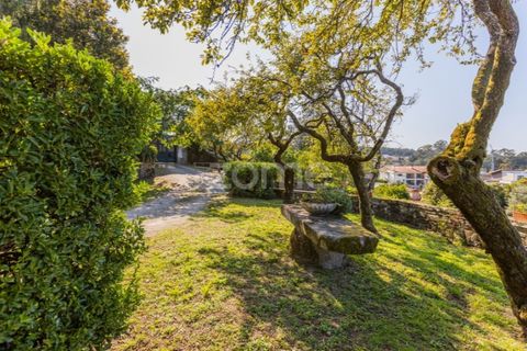 Farm i Barcelos, Braga, Barcelos - € 900.000 | Ref: ZMPT542540 - foto 12