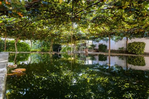 Farm i Barcelos, Braga, Barcelos - € 900.000 | Ref: ZMPT542540 - foto 20