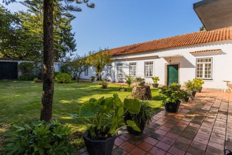 Farm i Barcelos, Braga, Barcelos - € 900.000 | Ref: ZMPT542540 - foto 21