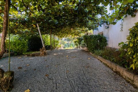 Farm i Barcelos, Braga, Barcelos - € 900.000 | Ref: ZMPT542540 - foto 22