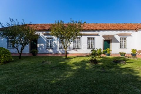 Farm i Barcelos, Braga, Barcelos - € 900.000 | Ref: ZMPT542540 - foto 23