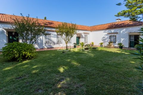 Farm i Barcelos, Braga, Barcelos - € 900.000 | Ref: ZMPT542540 - foto 25