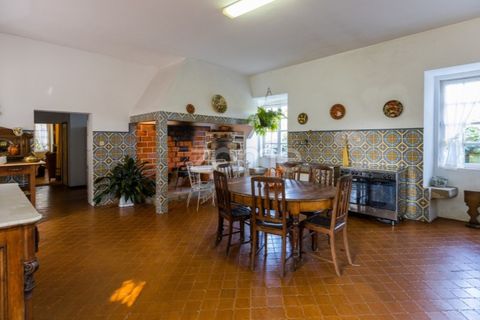 Farm i Barcelos, Braga, Barcelos - € 900.000 | Ref: ZMPT542540 - foto 28