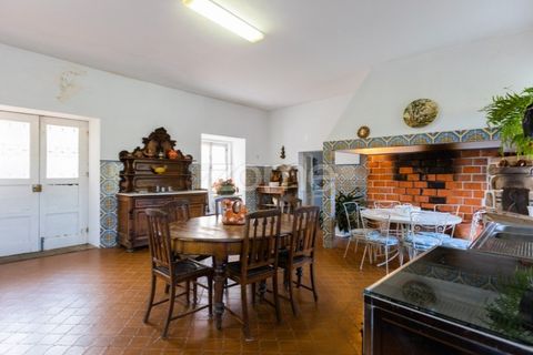 Farm i Barcelos, Braga, Barcelos - € 900.000 | Ref: ZMPT542540 - foto 30