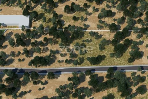 Villa i Santo Tirso, Porto, Santo Tirso - € 560.000 | Ref: ZMPT572425 - foto 12