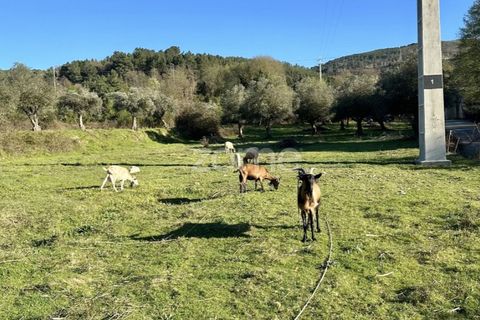 Helårsgrund i Fundao, Castelo Branco, Fundao - € 325.000 | Ref: ZMPT584609 - foto 9