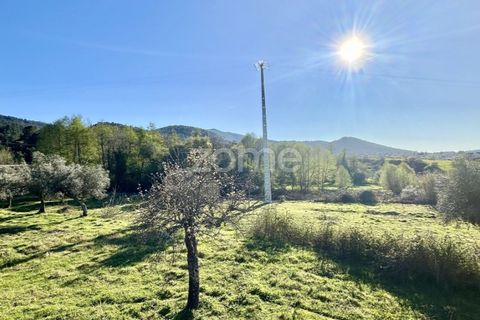 Helårsgrund i Fundao, Castelo Branco, Fundao - € 325.000 | Ref: ZMPT584609 - foto 10