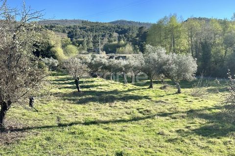 Helårsgrund i Fundao, Castelo Branco, Fundao - € 325.000 | Ref: ZMPT584609 - foto 11