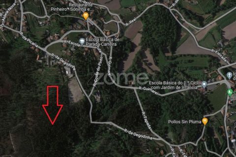 Tomt i Lamelas e guimarei, Porto, Lamelas e guimarei - € 69 500 | Ref: ZMPT531069 - foto 9