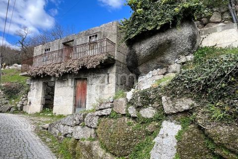 Villa en Ansiaes, Porto, Ansiaes - € 50.000 | Ref: ZMPT545068 - photo 5