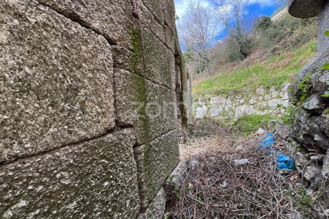 Villa en Ansiaes, Porto, Ansiaes - € 50.000 | Ref: ZMPT545068 - photo 31