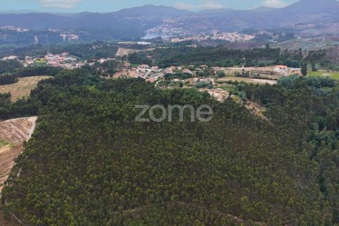 Helårsgrund i Melres e Medas, Porto, Melres e Medas - € 325.000 | Ref: ZMPT590741 - foto 5