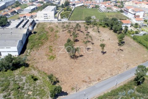 Helårsgrund i Arcozelo, Porto, Arcozelo - € 700.000 | Ref: ZMPT551612 - foto 4