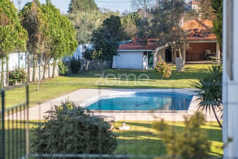 Farm i Penafiel, Porto, Penafiel - € 900.000 | Ref: ZMPT583019 - foto 38