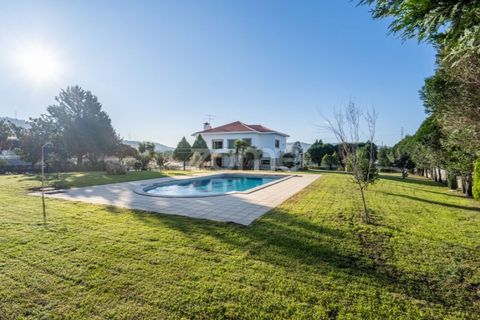 Farm i Penafiel, Porto, Penafiel - € 900.000 | Ref: ZMPT583019 - foto 48