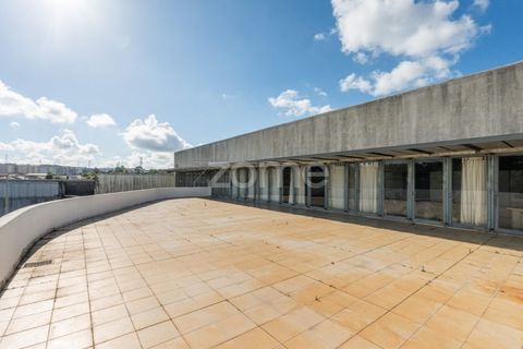 Erhvervsejendom i Maia, Porto, Maia - € 980.000 | Ref: ZMPT588721 - foto 23