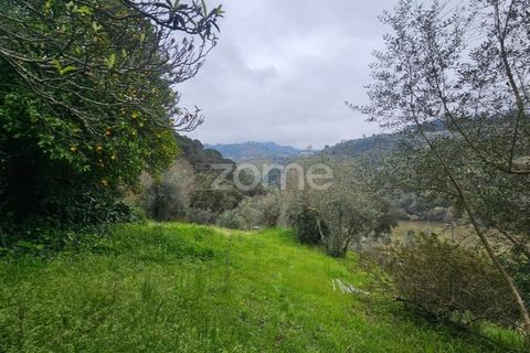 Landejendom i Barqueiros, Vila Real, Barqueiros - € 275.000 | Ref: ZMPT586182 - foto 3