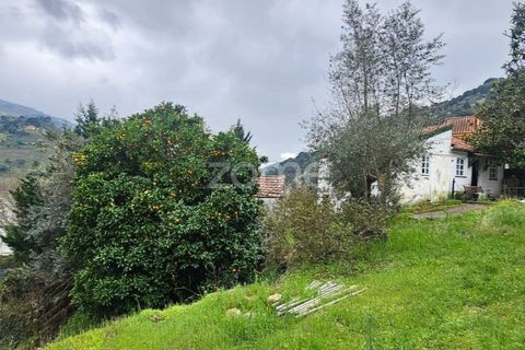 Landejendom i Barqueiros, Vila Real, Barqueiros - € 275.000 | Ref: ZMPT586182 - foto 4