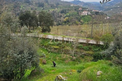 Landejendom i Barqueiros, Vila Real, Barqueiros - € 275.000 | Ref: ZMPT586182 - foto 5