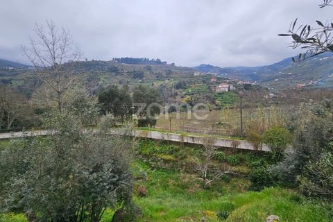 Landejendom i Barqueiros, Vila Real, Barqueiros - € 275.000 | Ref: ZMPT586182 - foto 6