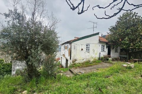 Landejendom i Barqueiros, Vila Real, Barqueiros - € 275.000 | Ref: ZMPT586182 - foto 8