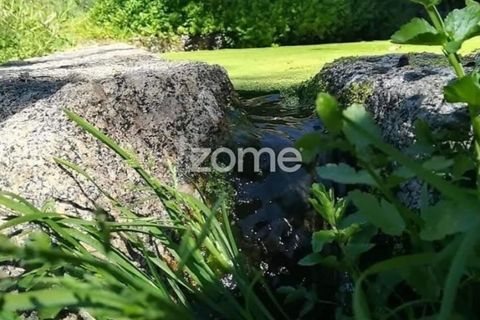Landejendom i Barqueiros, Vila Real, Barqueiros - € 275.000 | Ref: ZMPT586182 - foto 11