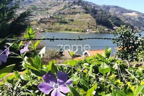 Landejendom i Barqueiros, Vila Real, Barqueiros - € 275.000 | Ref: ZMPT586182 - foto 15