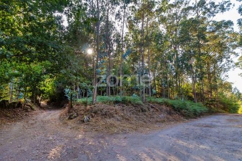 Helårsgrund i Santo Tirso, Porto, Santo Tirso - € 80.000 | Ref: ZMPT541480 - foto 2