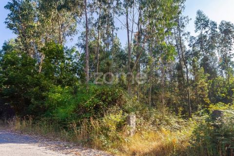 Helårsgrund i Santo Tirso, Porto, Santo Tirso - € 80.000 | Ref: ZMPT541480 - foto 3